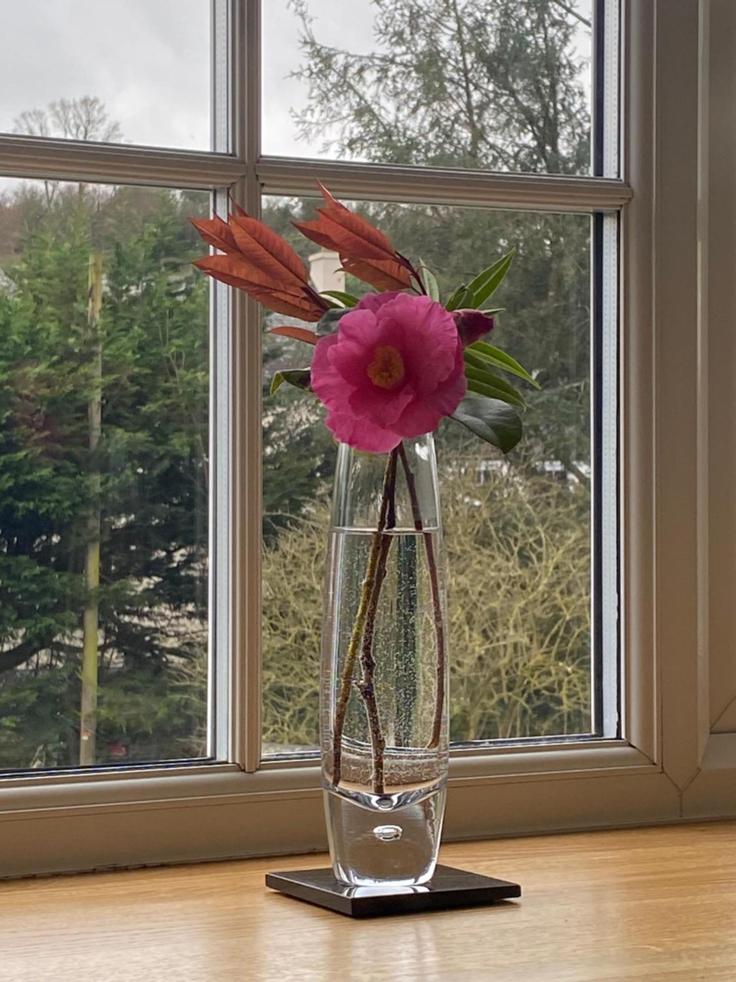 Lynwood House Bed And Breakfast Tregoney 외부 사진